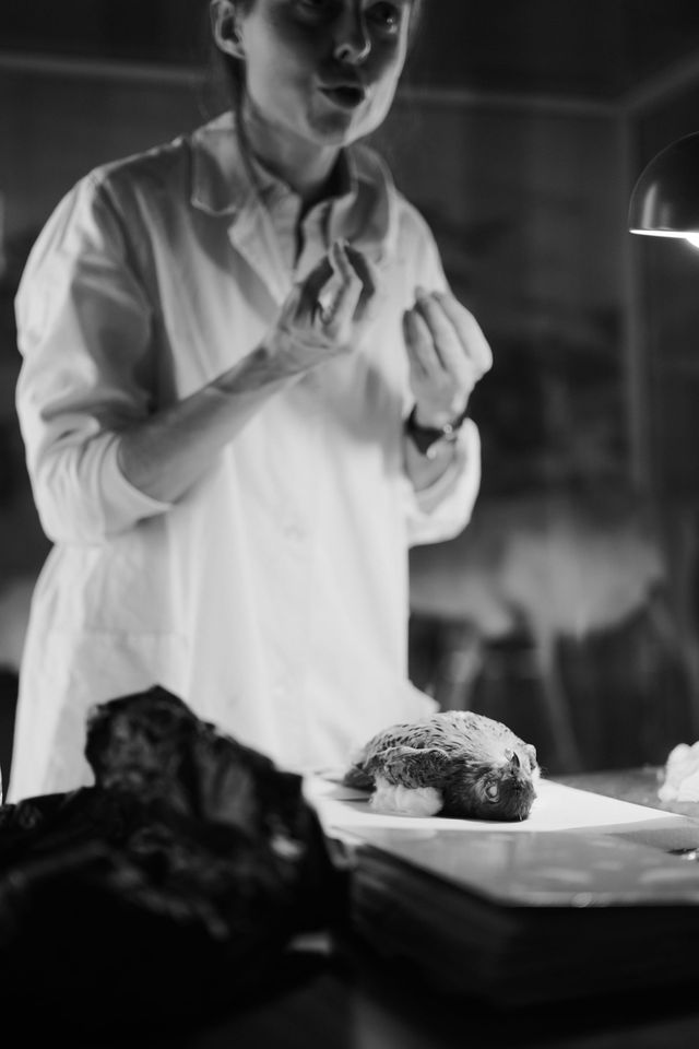 A person in a light shirt gestures over a workbench holding museum specimens.