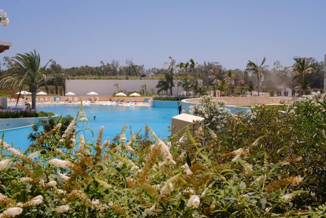 Amplia piscina turquesa de un resort con sombrillas, tumbonas y palmeras, enmarcada por budleias de flores blancas en primer plano.