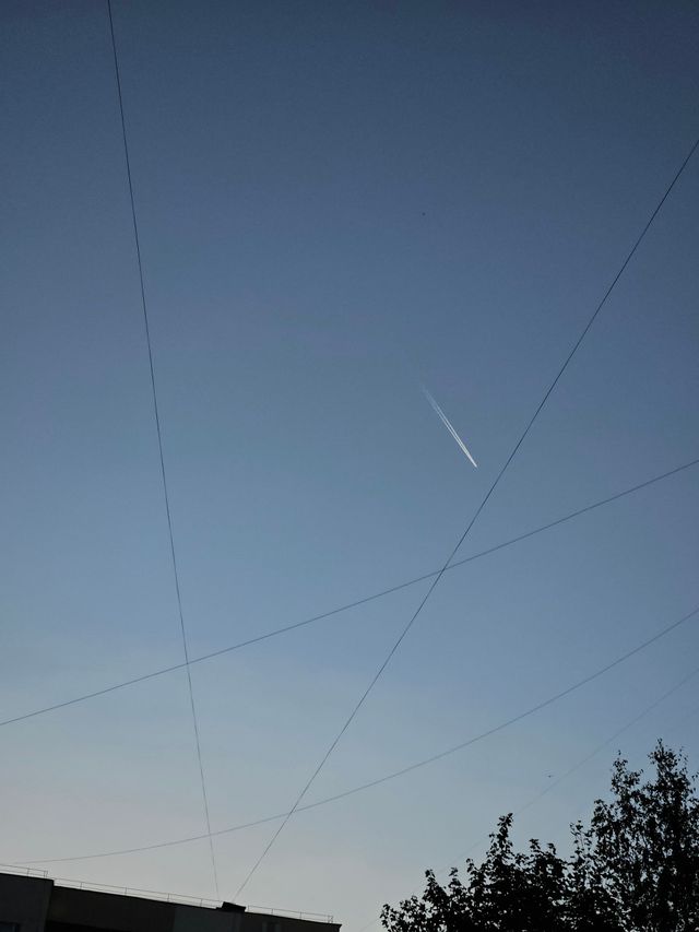 斜めに交差する電線と広い青灰色の空。
