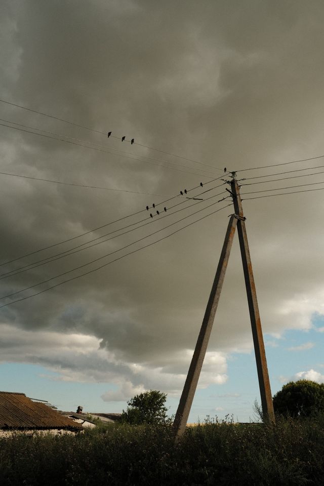 暗い雲の空の下で鳥たちが電線にとまる。