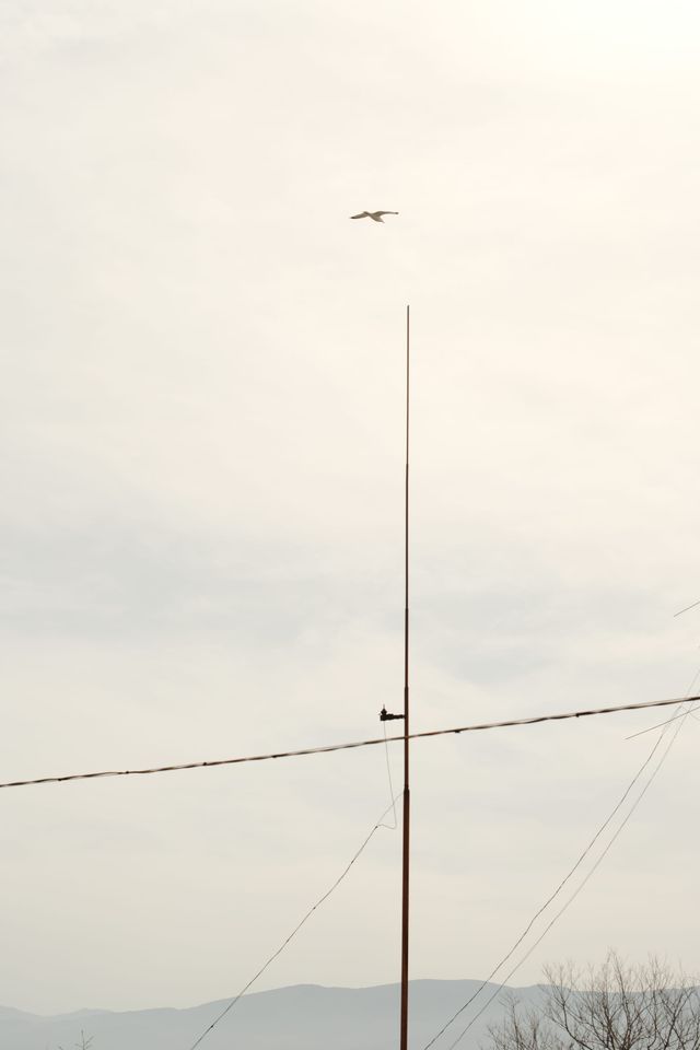 淡い空に細い垂直アンテナと横切る線が浮かぶ。
