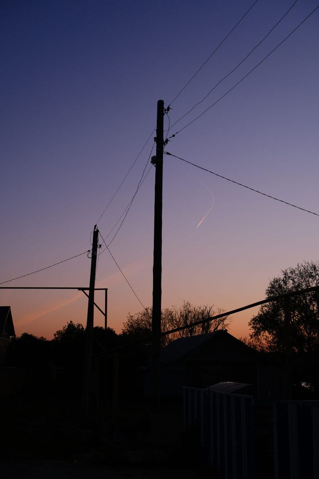 暗い木々の上に夕暮れの電線と中央の電柱が伸びる。
